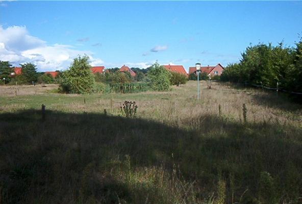Ferienwohnungen Manfred Peters Baven Hermannsburg Ngoại thất bức ảnh
